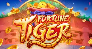 vibet77 Myanmar Online Gaming Platform SSL Security ကစားသမားများ ယုံကြည်မှု